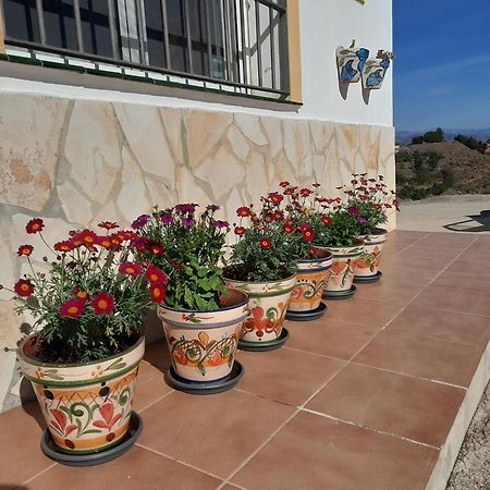 Casa Montana Velez-Malaga B&B Eksteriør billede