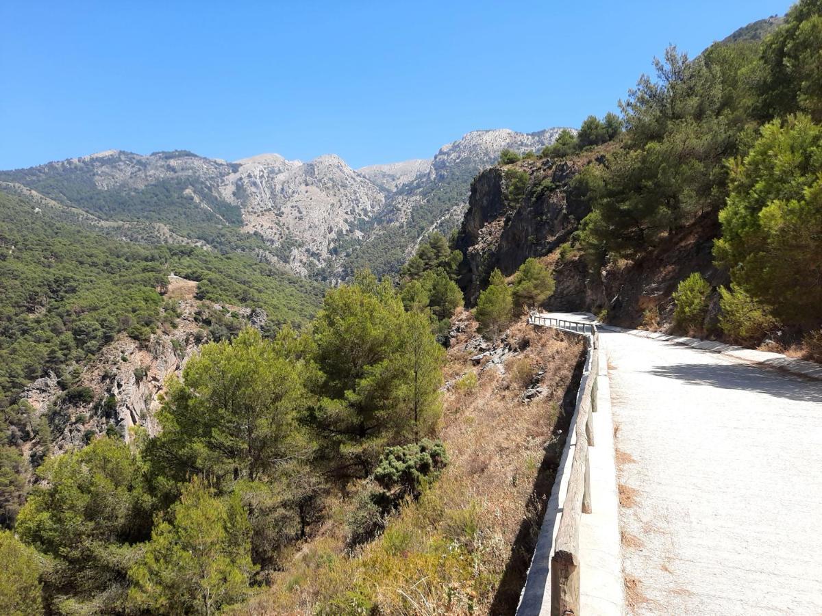 Casa Montana Velez-Malaga B&B Eksteriør billede