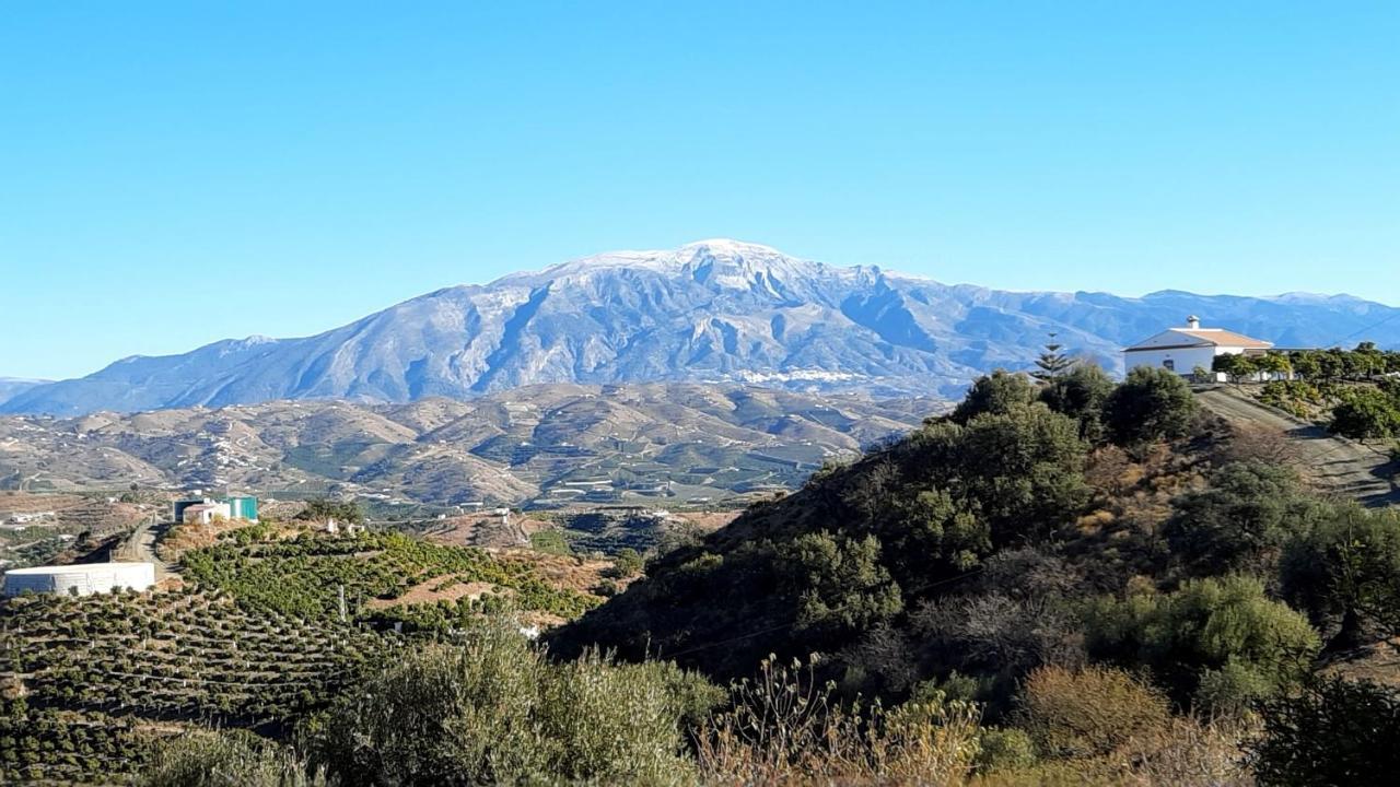 Casa Montana Velez-Malaga B&B Eksteriør billede