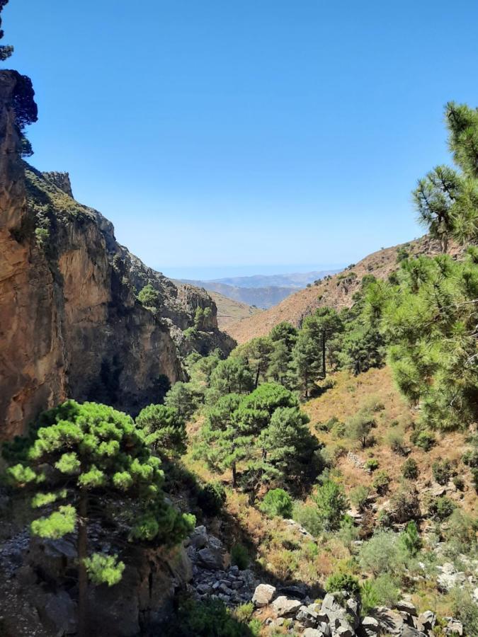 Casa Montana Velez-Malaga B&B Eksteriør billede