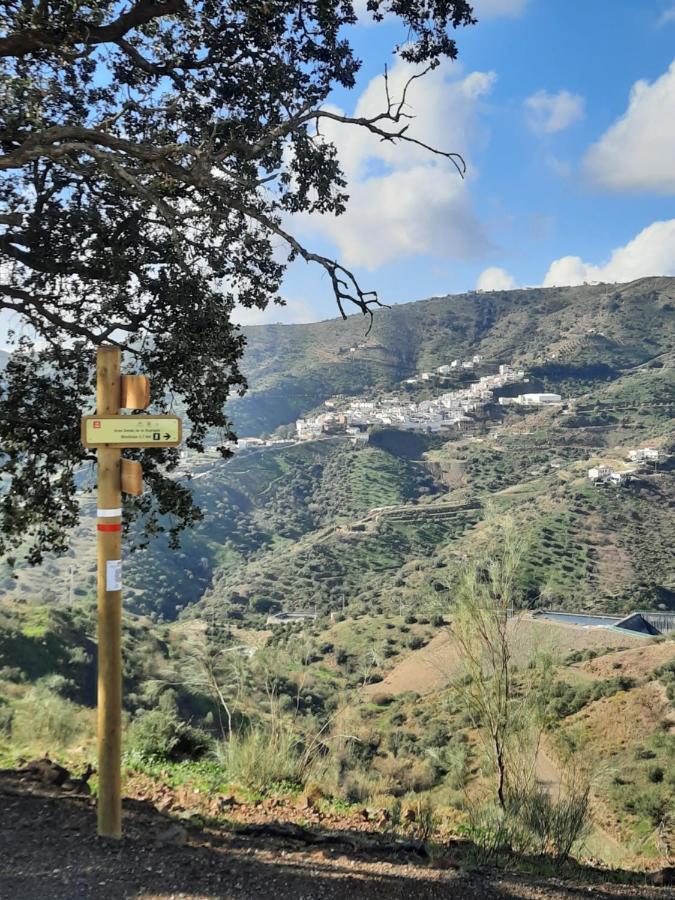 Casa Montana Velez-Malaga B&B Eksteriør billede