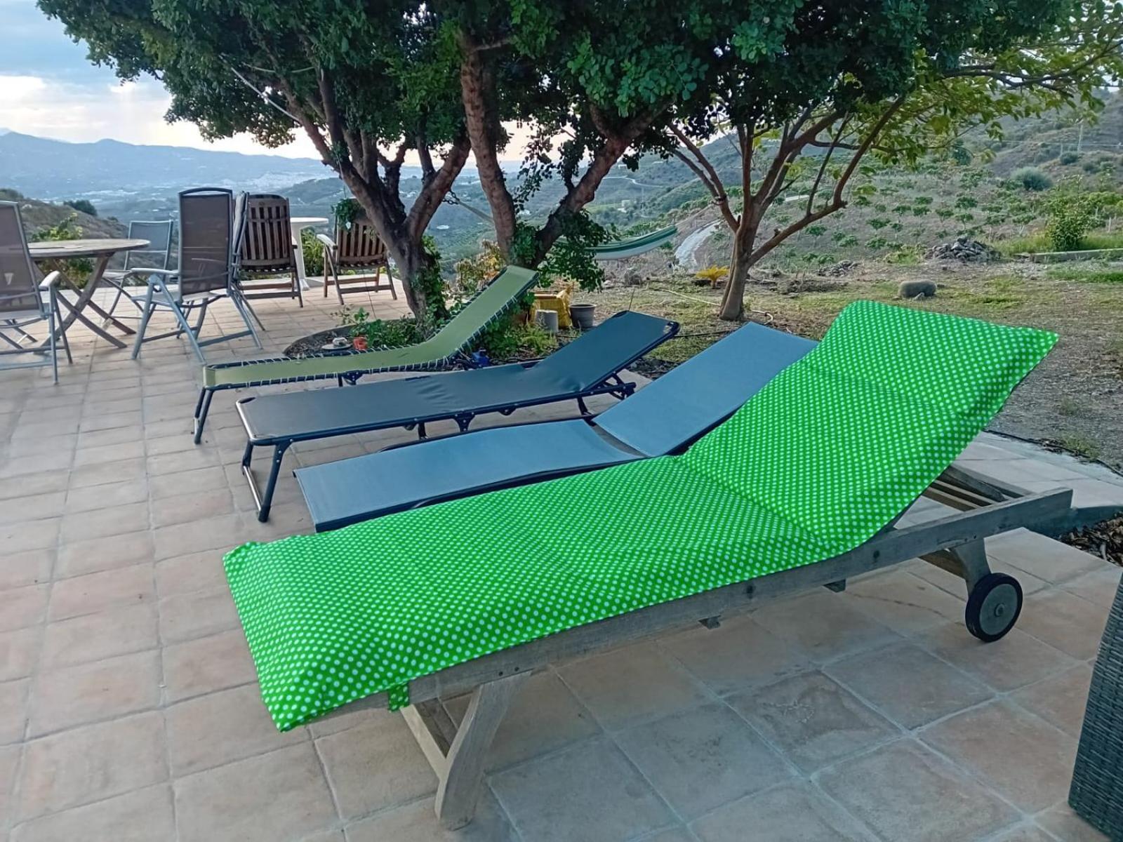 Casa Montana Velez-Malaga B&B Eksteriør billede